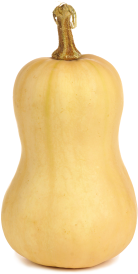 detailed picture of a squash